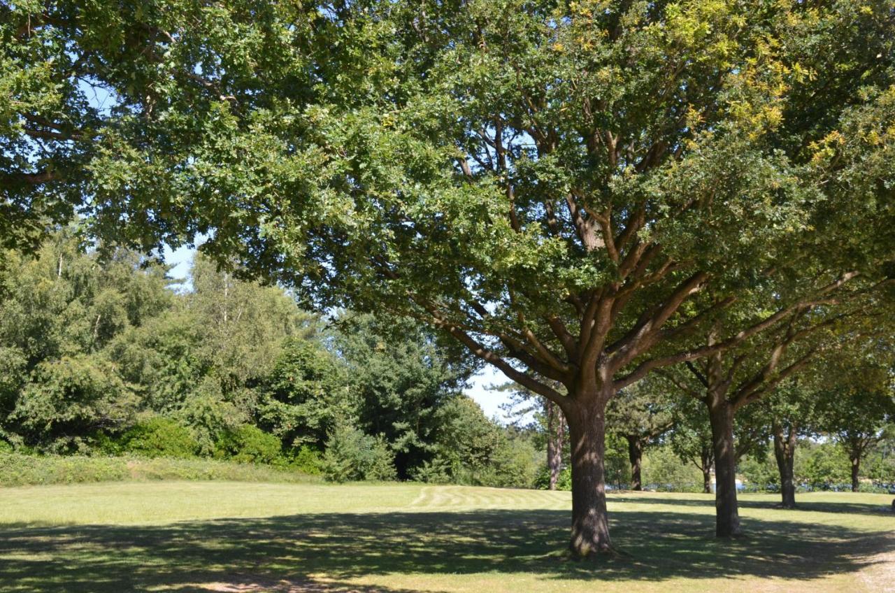 Drents Genieten - Dopheide Erm Exterior foto