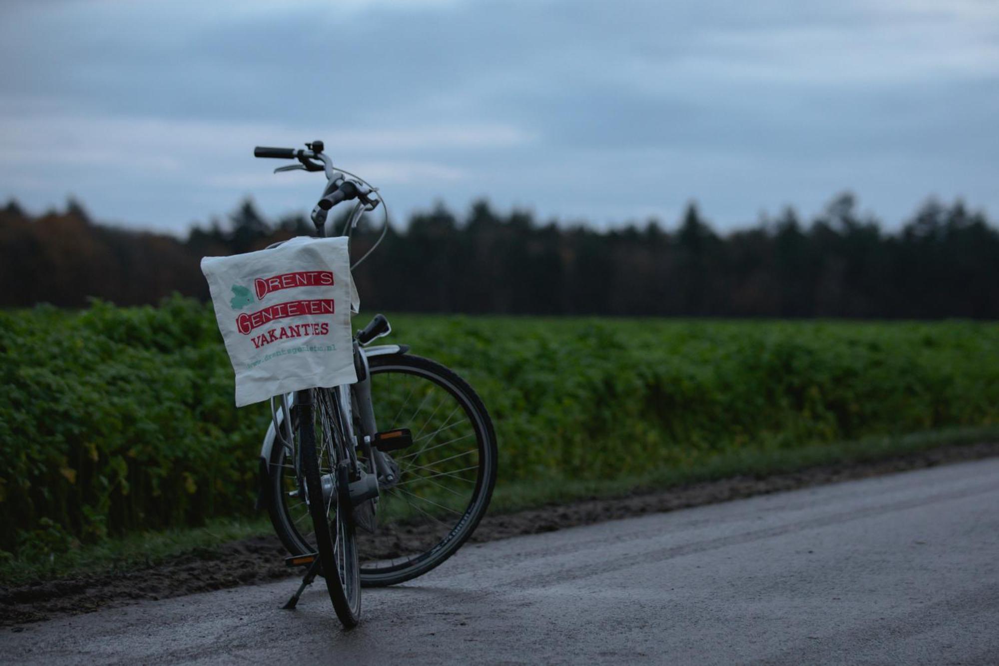 Drents Genieten - Dopheide Erm Exterior foto