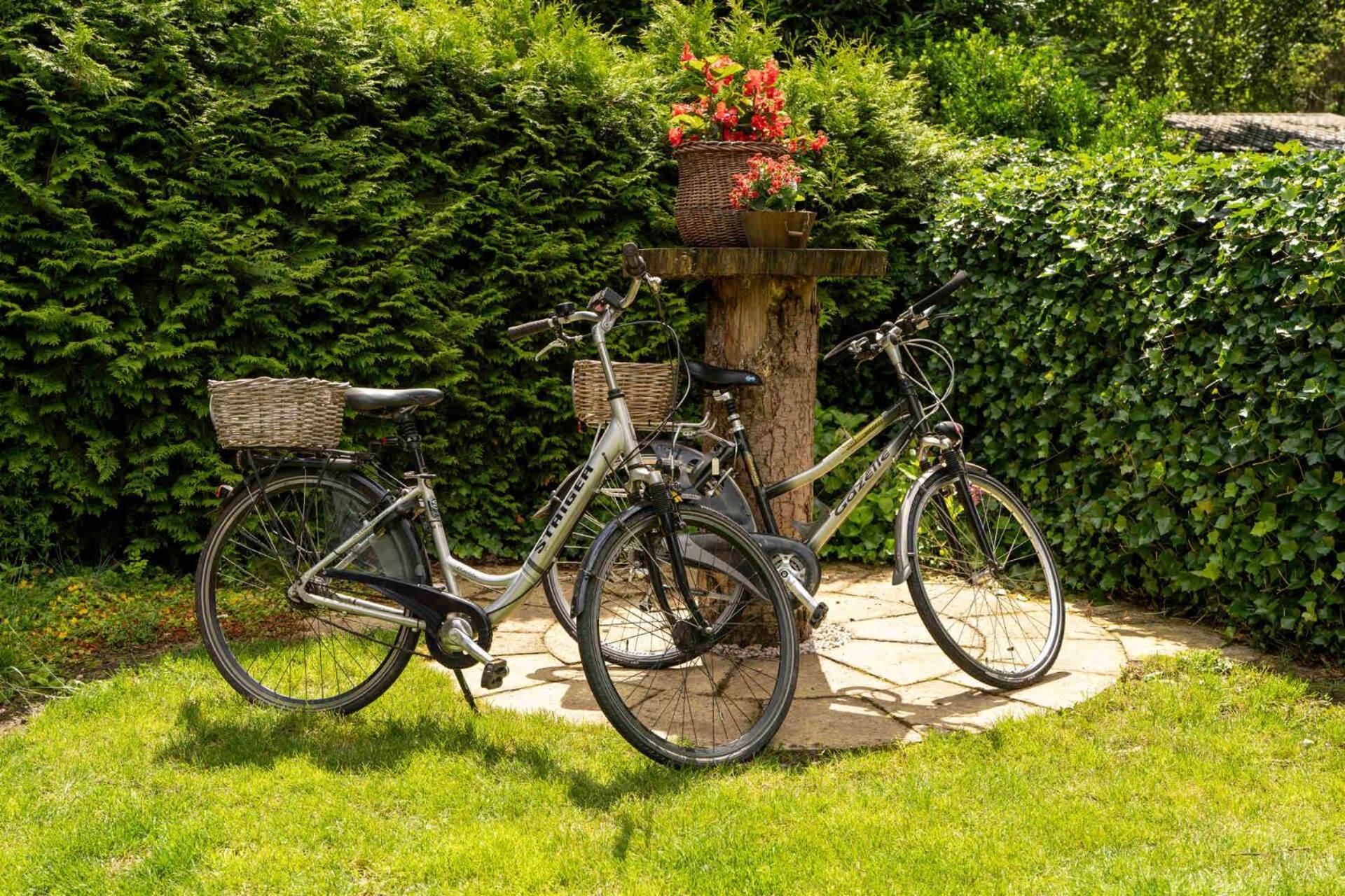 Drents Genieten - Dopheide Erm Exterior foto